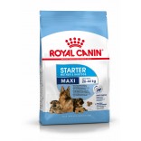 Royal Canin Maxi Starter 4kg